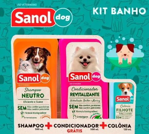 Como dar banho em cachorro do jeito certo — guia completo
